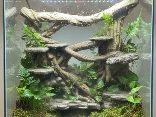 https://makerworld.bblmw.com/makerworld/model/US10a6673d5e2b33/design/b662989fe3c676ff.jpg