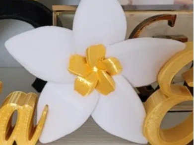 fiore Plumeria