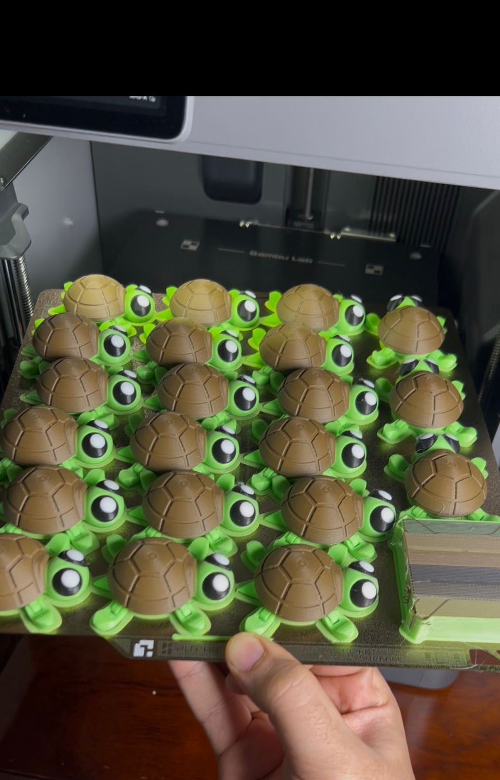 Miniatura 7 do modelo 3D Cute Turtle