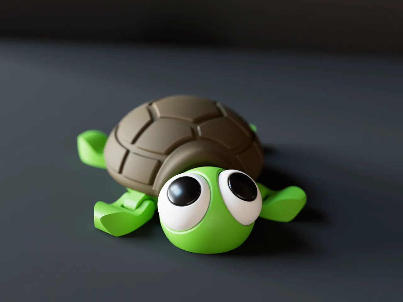 Cute Turtle view 3