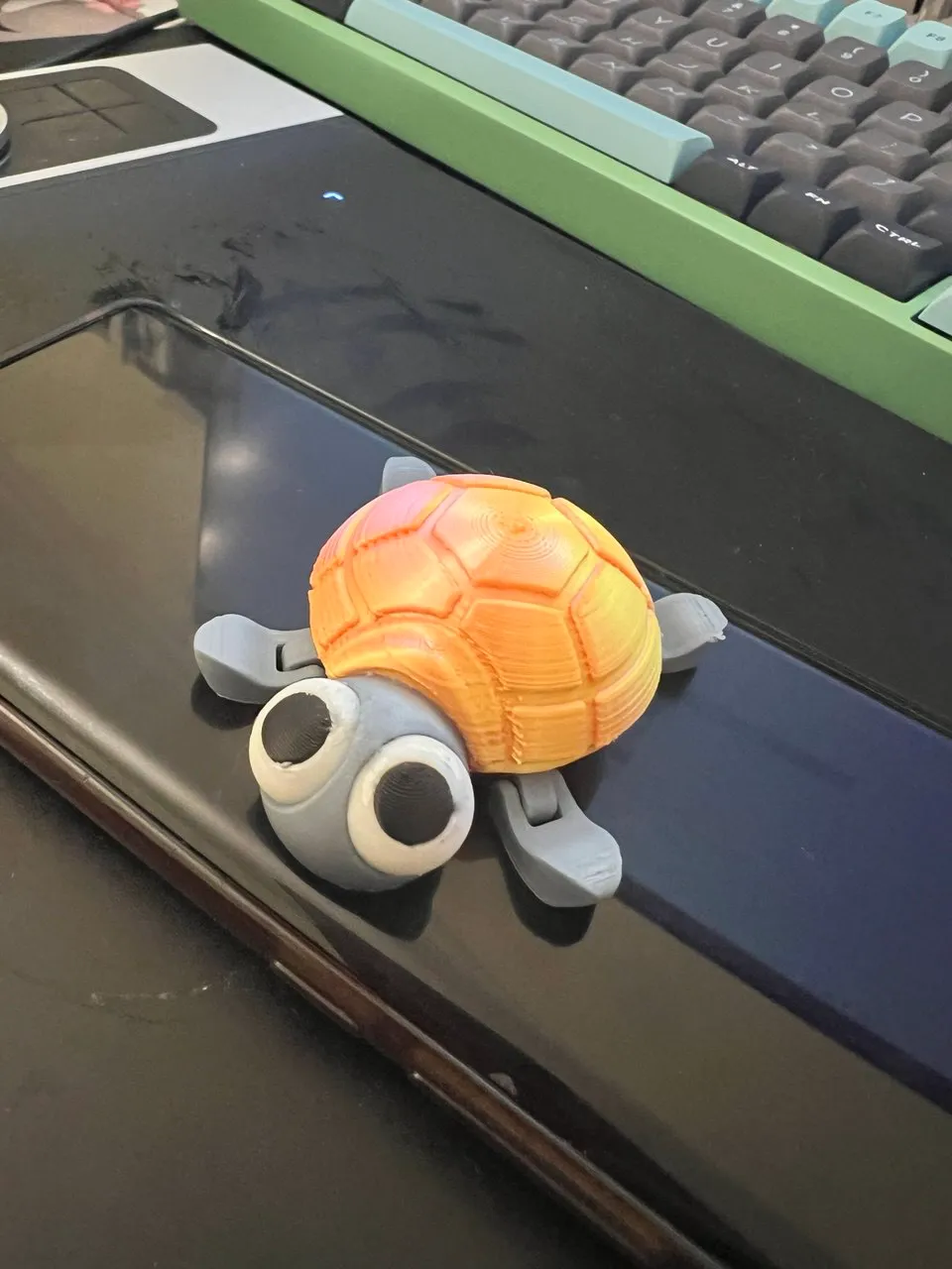 Cute Turtle view 4
