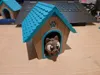 0.20mm layer, 2 walls, 15% infill