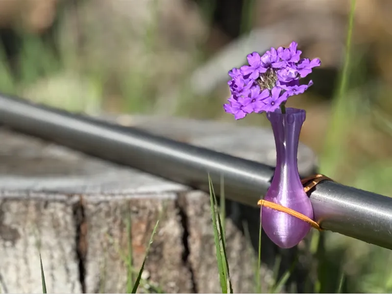 Bike Blossom: Your Ride, Reimagined.