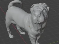 Chien Shar Pei — photo 1