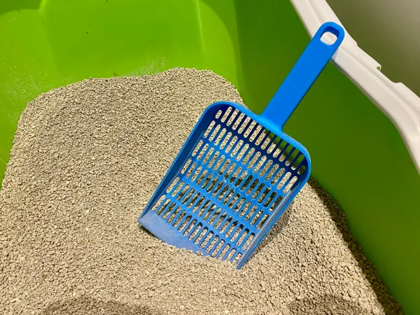 https://makerworld.bblmw.com/makerworld/model/US10b80b295b3e27/design/2025-02-03_5280a7e3f7f178.jpg
