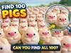 100 pigs
