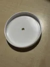 0.2mm layer, 2 walls, 15% infill 80mm diameter and rim