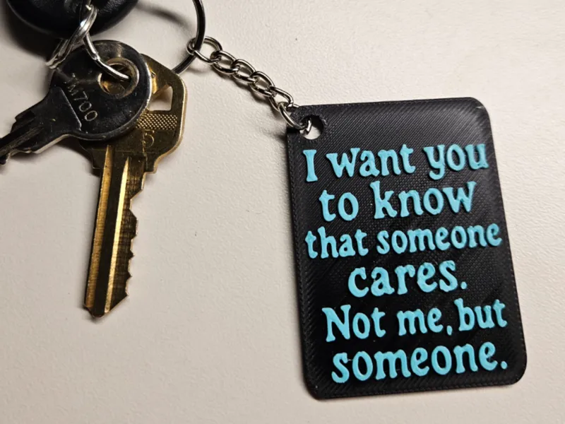 “Someone Cares… (Not Me) – Keychain”