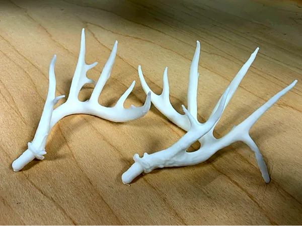 https://makerworld.bblmw.com/makerworld/model/US10c1f96378f41e/design/0883a0bc62a3f47a.jpg