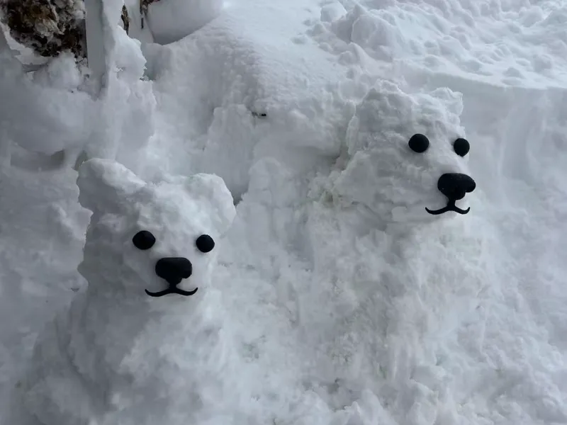 北极熊雪人配件