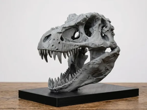 https://makerworld.bblmw.com/makerworld/model/US10d37c68caed56/design/2026-01-07_fc5212ea0c5398.png