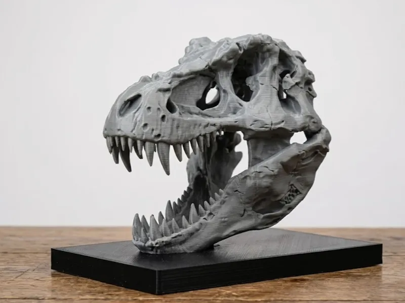 T-Rex Book Nook