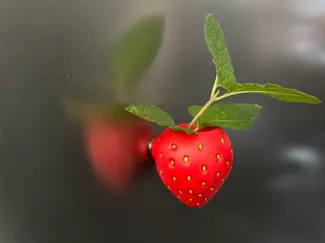 Strawberry Magnet Air Plant Pot