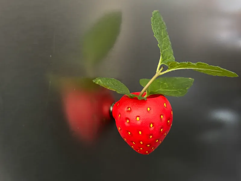 Strawberry Magnet Air Plant Pot