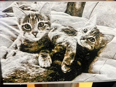 Cute cat Hueforge picture of Sammy & Lucy