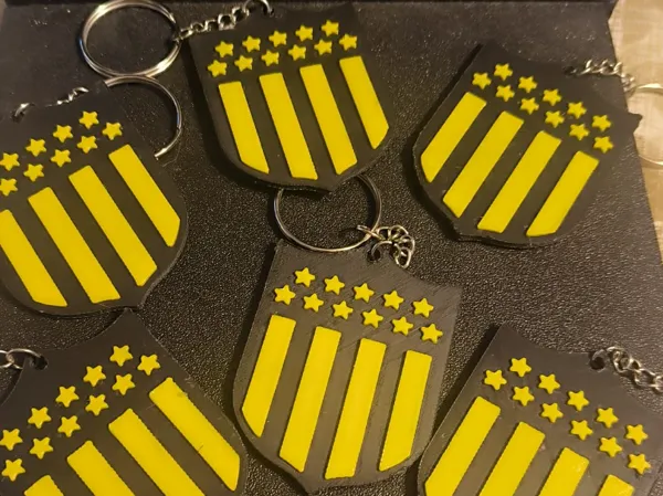 https://makerworld.bblmw.com/makerworld/model/US10daf77332730a/design/2c55b38b6080e830.jpeg