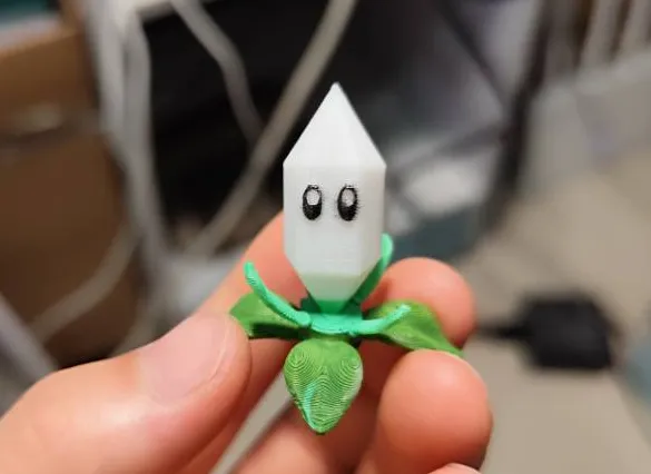 PrismGrass_棱镜草