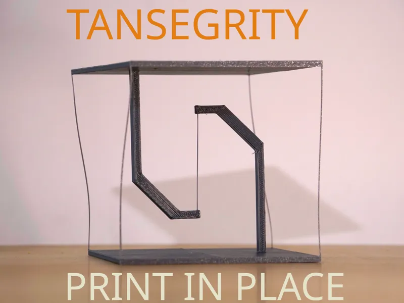 tansegrity sculpture print in place