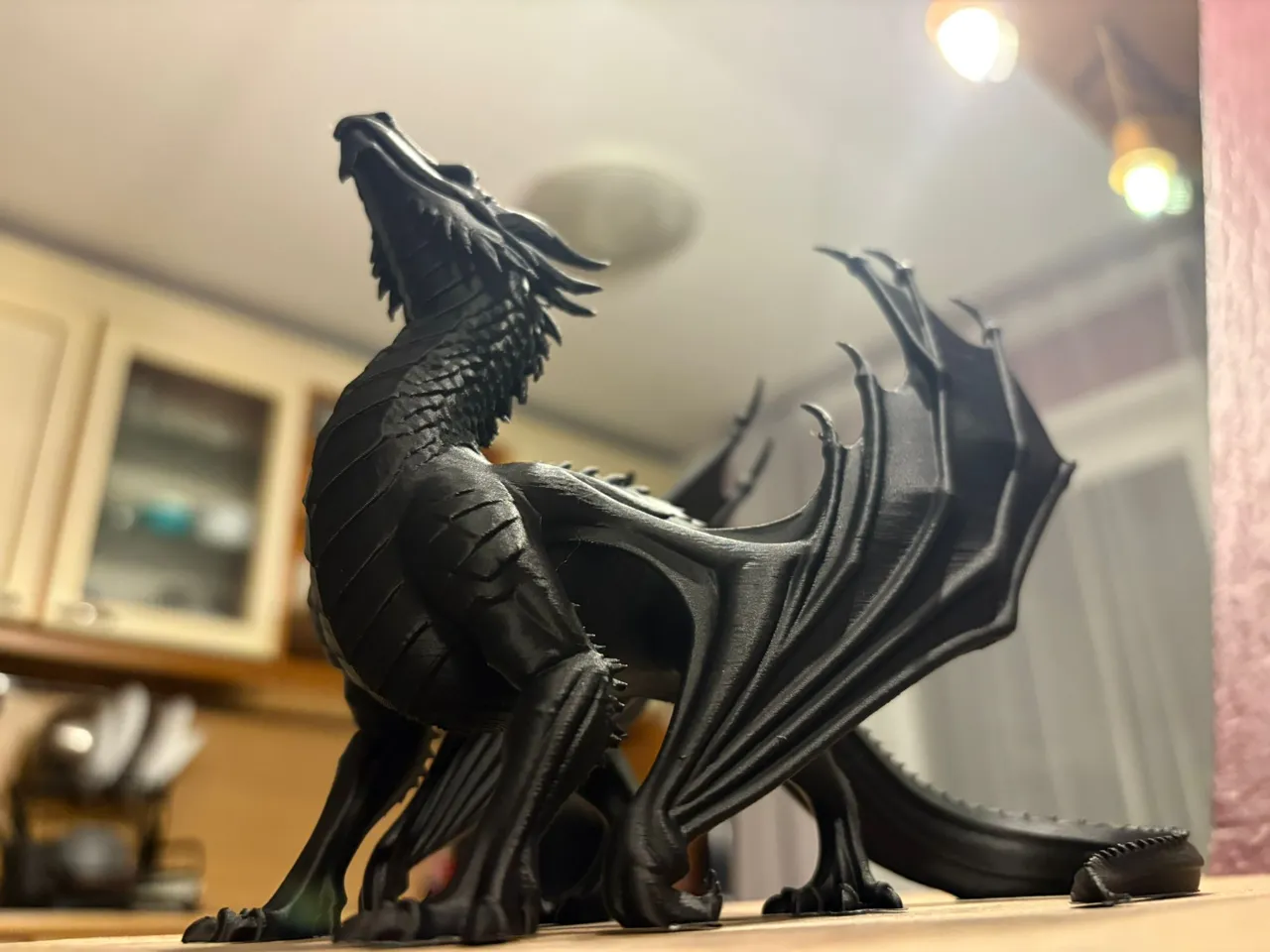 DRAGON view 2