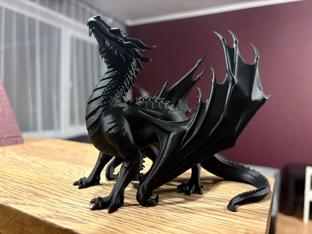 DRAGON view 4