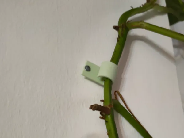 https://makerworld.bblmw.com/makerworld/model/US10e39faaa09c09/design/2025-12-07_f060b8f6663ad8.jpg