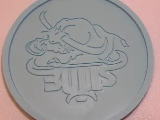 Bulls Coaster