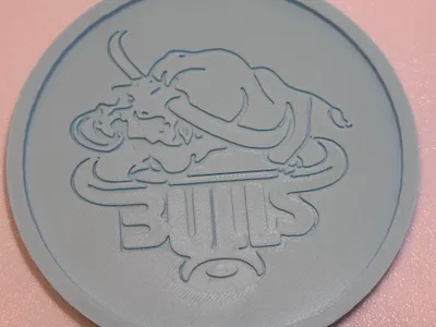 Bulls Coaster