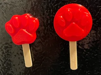 Zootopia Pawpsicle Magnet