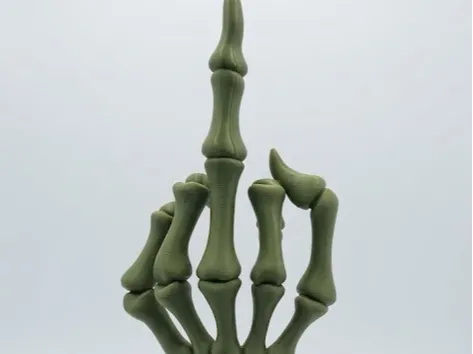 midle finger bones