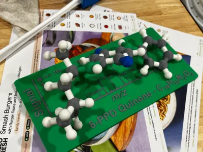 6-PPD Quinone