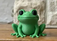 0.2mm layer, 2 walls, 8% infill