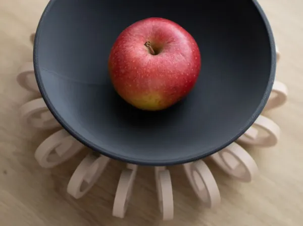 https://makerworld.bblmw.com/makerworld/model/US10eebfbee8187b/design/2024-06-11_53486485ba341.jpg
