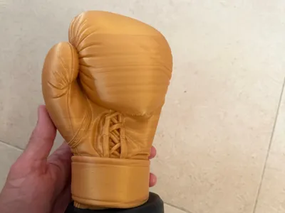 Boxing Trophy