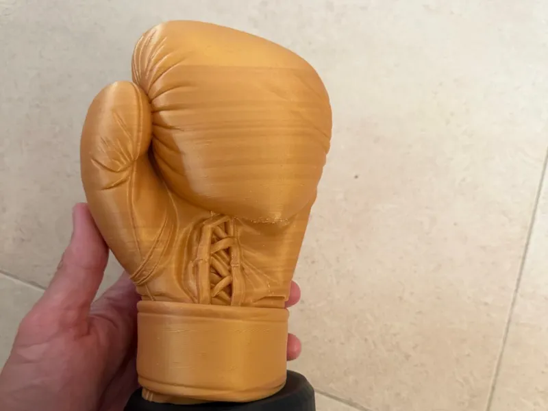 Boxing Trophy