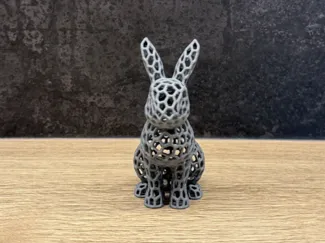 Voronoi Bunny