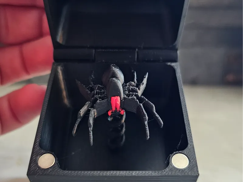 Springy Surprise Box - jack in the box