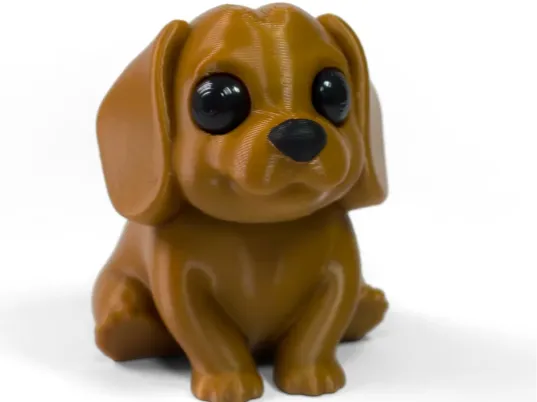 Cute dog