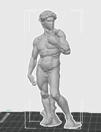David — photo 3