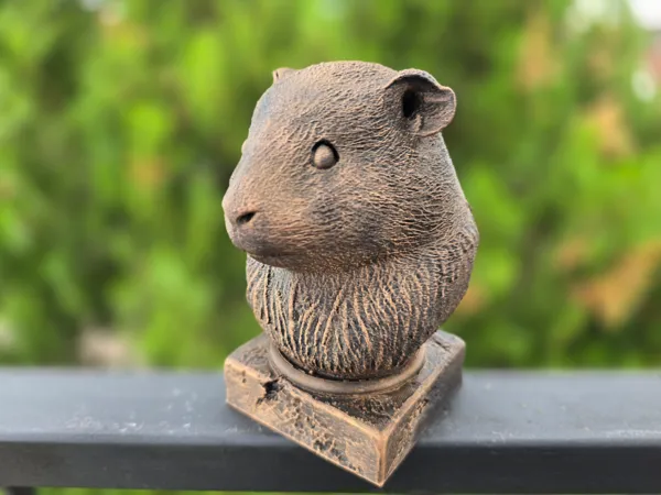 https://makerworld.bblmw.com/makerworld/model/US10fbe45701c311/design/2025-06-06_fe0da526925038.jpg
