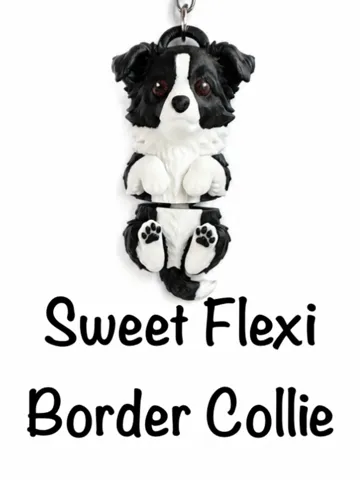 Llavero: Sweet Border Collie Keychain — vista de referencia 2