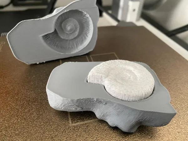 https://makerworld.bblmw.com/makerworld/model/US1102a03cde0ba6/design/2025-01-10_233a2310f1f1e.jpg