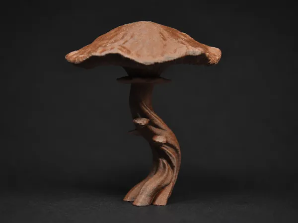 https://makerworld.bblmw.com/makerworld/model/US1104736d1c485c/design/a79923fe3a52d53a.png