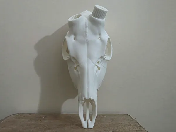 https://makerworld.bblmw.com/makerworld/model/US11050d8cb7a38b/design/2025-11-03_3bff7061698ad8.jpg
