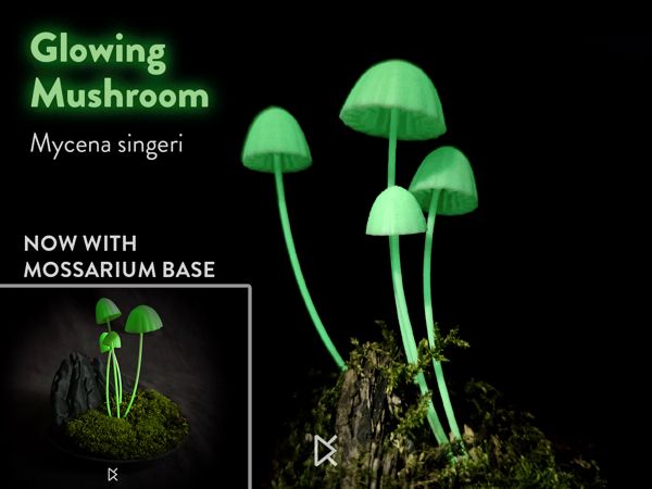 https://makerworld.bblmw.com/makerworld/model/US110547d074657c/design/2024-08-06_a9fa1cf04a7ce.gif