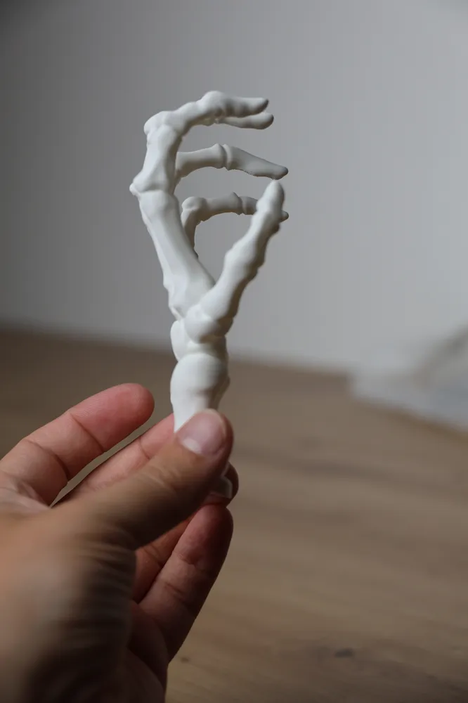 Little Skeleton Models Skeleton Hand – Halloween & Horror Decoration - Free 3D Print Model ...