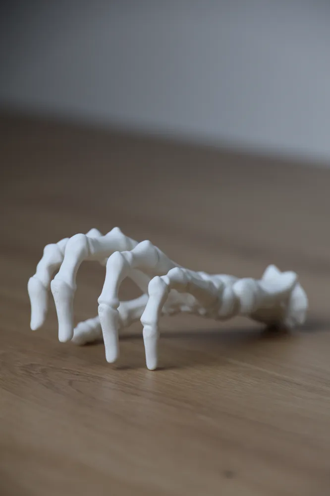 Little Skeleton Models Skeleton Hand – Halloween & Horror Decoration - Free 3D Print Model ...