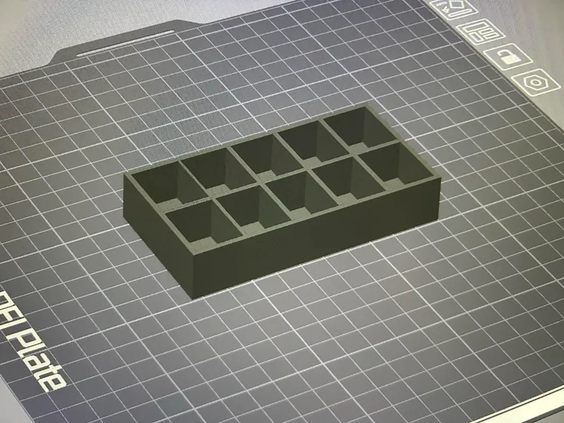 organizer