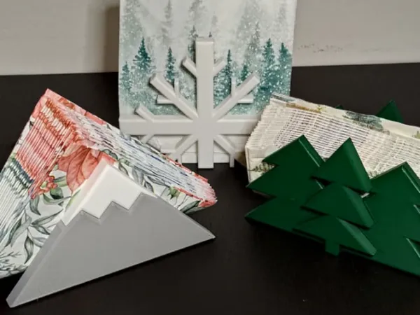 https://makerworld.bblmw.com/makerworld/model/US11116468541a23/design/2025-12-12_fe73bd1c637e5.jpg