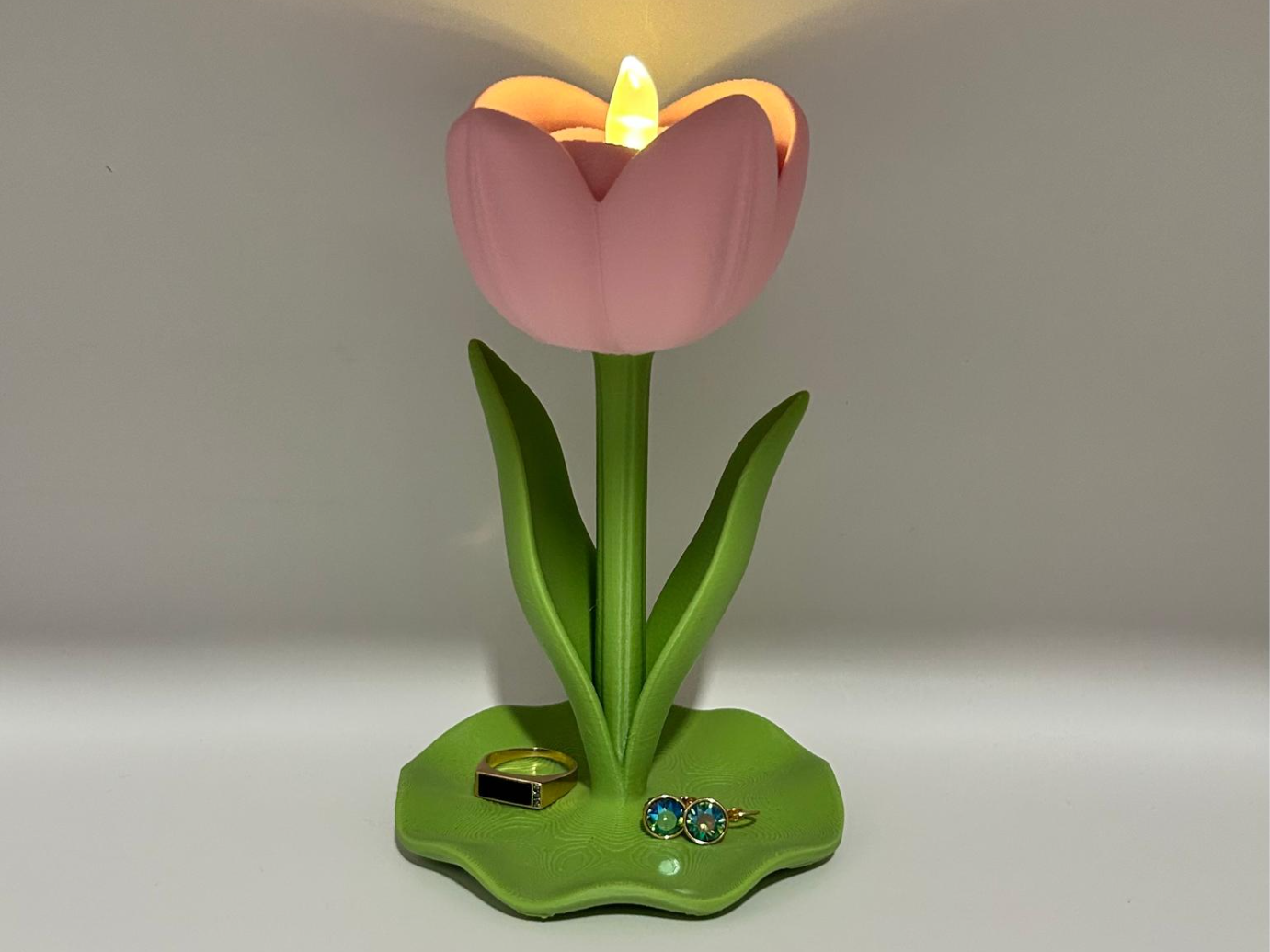 Luminous Tulip