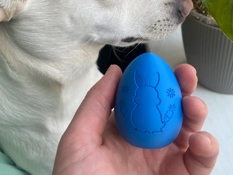 Cute Bunny Easter Egg Decoration